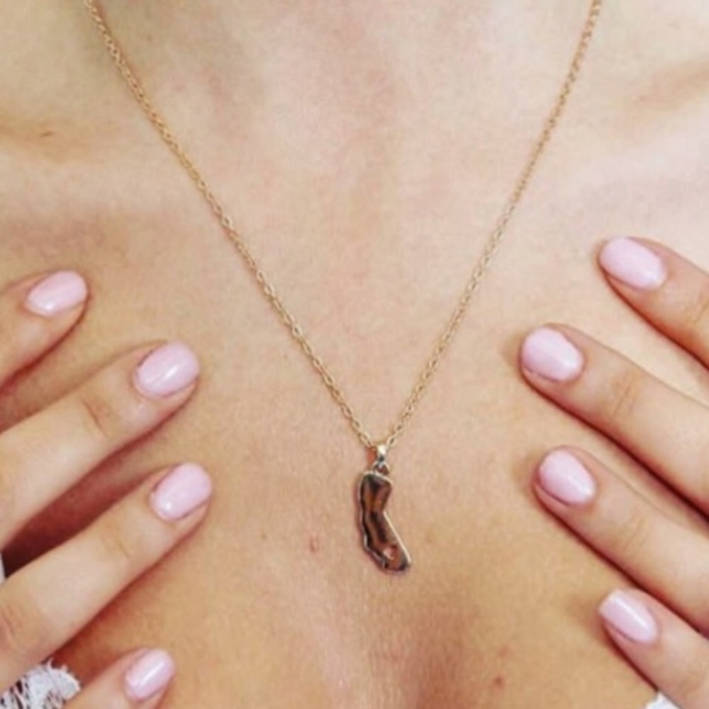 NWOT Brandy Melville California Outline Necklace